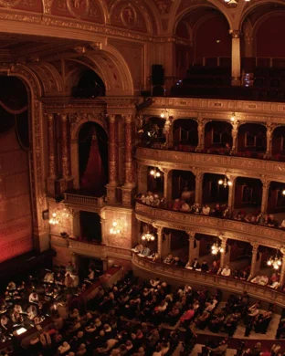 Taconic Opera: Beethoven Symphony No. 9